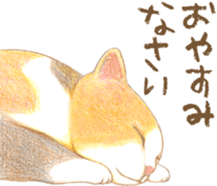 Warm and Fluffy Tortoiseshell cat sticker #11222586