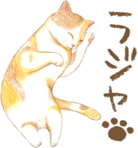 Warm and Fluffy Tortoiseshell cat sticker #11222588