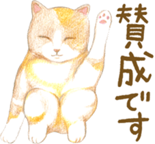 Warm and Fluffy Tortoiseshell cat sticker #11222591