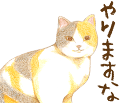 Warm and Fluffy Tortoiseshell cat sticker #11222593