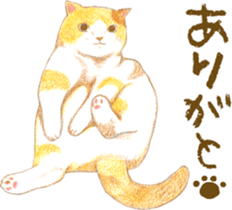 Warm and Fluffy Tortoiseshell cat sticker #11222594