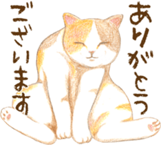 Warm and Fluffy Tortoiseshell cat sticker #11222595