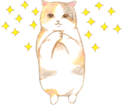 Warm and Fluffy Tortoiseshell cat sticker #11222599