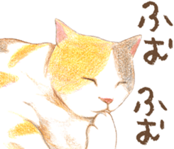 Warm and Fluffy Tortoiseshell cat sticker #11222600