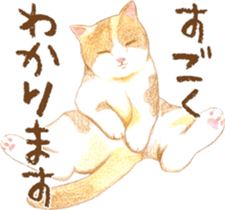 Warm and Fluffy Tortoiseshell cat sticker #11222601