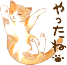 Warm and Fluffy Tortoiseshell cat sticker #11222602
