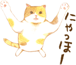 Warm and Fluffy Tortoiseshell cat sticker #11222604