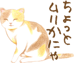 Warm and Fluffy Tortoiseshell cat sticker #11222607