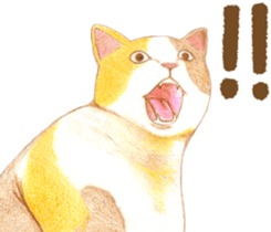 Warm and Fluffy Tortoiseshell cat sticker #11222610