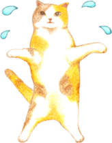 Warm and Fluffy Tortoiseshell cat sticker #11222611