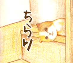 Warm and Fluffy Tortoiseshell cat sticker #11222613