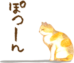 Warm and Fluffy Tortoiseshell cat sticker #11222615