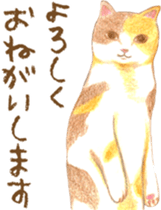 Warm and Fluffy Tortoiseshell cat sticker #11222616