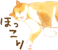 Warm and Fluffy Tortoiseshell cat sticker #11222621