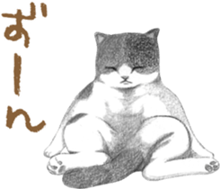 Warm and Fluffy Tortoiseshell cat sticker #11222622
