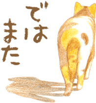 Warm and Fluffy Tortoiseshell cat sticker #11222623