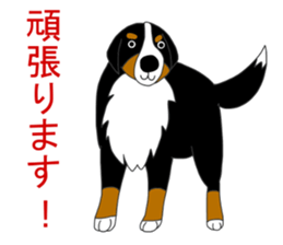 Bernese Mountain Dog Stickers sticker #11224664