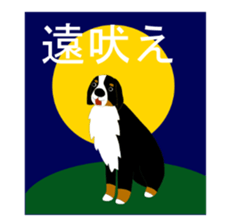 Bernese Mountain Dog Stickers sticker #11224670