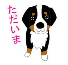 Bernese Mountain Dog Stickers sticker #11224674