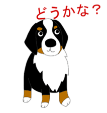 Bernese Mountain Dog Stickers sticker #11224676