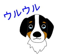 Bernese Mountain Dog Stickers sticker #11224680