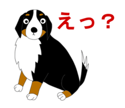 Bernese Mountain Dog Stickers sticker #11224681