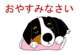 Bernese Mountain Dog Stickers sticker #11224683