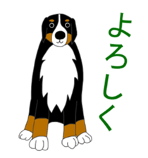 Bernese Mountain Dog Stickers sticker #11224684