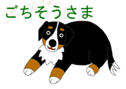 Bernese Mountain Dog Stickers sticker #11224686