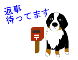Bernese Mountain Dog Stickers sticker #11224687