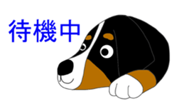 Bernese Mountain Dog Stickers sticker #11224689