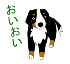 Bernese Mountain Dog Stickers sticker #11224690
