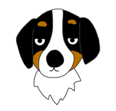 Bernese Mountain Dog Stickers sticker #11224692