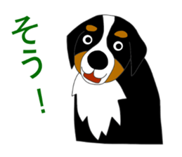 Bernese Mountain Dog Stickers sticker #11224699