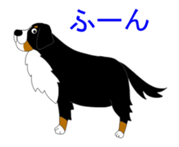 Bernese Mountain Dog Stickers sticker #11224700