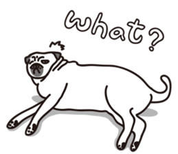 Mr.Pug , Stop nagging! sticker #11227482