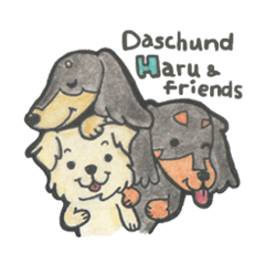 Daschund Haru & frineds