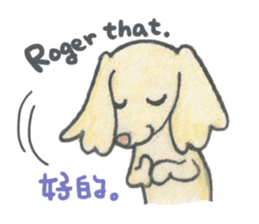 Daschund Haru & frineds sticker #11228032