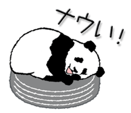 Pandan5.1 sticker #11228121