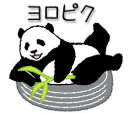 Pandan5.1 sticker #11228125