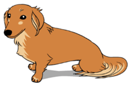 There is a dachshund together. sticker #11228390