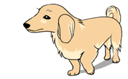 There is a dachshund together. sticker #11228395