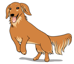 There is a dachshund together. sticker #11228396