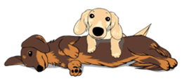 There is a dachshund together. sticker #11228399