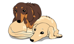 There is a dachshund together. sticker #11228400