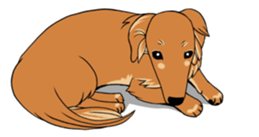 There is a dachshund together. sticker #11228401