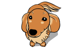 There is a dachshund together. sticker #11228404