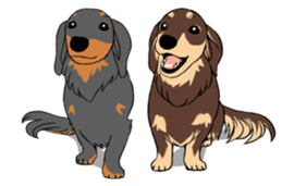 There is a dachshund together. sticker #11228410