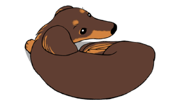 There is a dachshund together. sticker #11228414