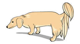 There is a dachshund together. sticker #11228417